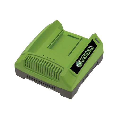 CARGADOR 42V