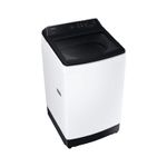 WA13cg5441bw--2-