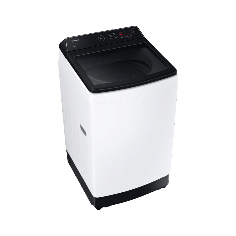 WA13cg5441bw--2-