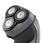 HQ694616-1.jpg